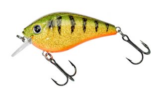 Gunki Kraken 55 F - 